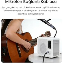 6.35MM To Xlr Dişi Mikrofon Kablosu Hi-Fi Ses Kalitesi Ofc Bakır Enstrüman Ses Kablosu 2 Metre