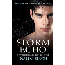 Storm Echo: Book 6