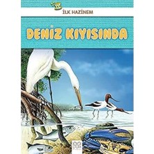 Deniz Kıyısında - Ilk Hazinem