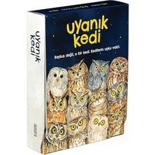 Uyanık Kedi – Eşleştirme Kart Oyunu | Baykuşları Eşleştir, Kediden Kurtul, Oyunu Kazan | 2-6 Oyuncu 6+ Yaş | Dikkat Odaklı Eğlence