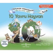 10 Yavru Hayvan: Toplama Öğrenelim - 1’den 10’a Kadar Sayılar