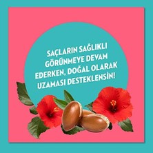 Doğanın Enerjisi Onarıcı Süper Saç Bakım Kremi Argan Yağı ve Hibiskus Özü Dökülme Karşıtı ve Güçlü Uzamayı Destekleyici (170 Ml)