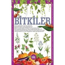 Bitkiler