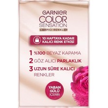Çarpıcı Renkler Yoğun Kalıcı Saç Boyası No 4.15 Buzlu Kestane