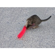 Hereveoyuncak Kedi Tırmalama Fırçası - Kedii Oyuncağı