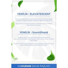 Auran Nefes Açıcı Nane ve Okaliptüs Esansiyel Uçucu Koku Yağı Buhurdanlık Yağı Difüzör Esansı Küre 10ML