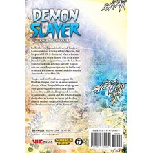 Slayer: Kimetsu No Yaiba, Vol. 9: Volume 9