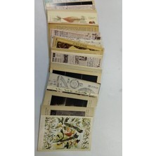 Vintage Gazete ve Antika Botanik Temalı Duvar Kolaj Seti - 500 Adet Retro Kuş Çizimleri ve Astronomi Haritaları, Dark Academia Oda Dekoru, Estetik Duvar Poster Paketi (10X15 Cm)