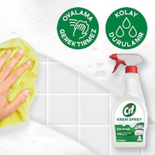 Krem Sprey Çok Amaçlı Amonyak Yüzey Temizleyici Yağ ve Kir Çıkarıcı 750 ml