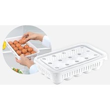 Plastik Yumurtalık, Kapaklı (15 Li)