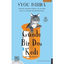 Günde Bir Doz Kedi