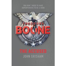Theodore Boone: The Accused: Theodore Boone 3