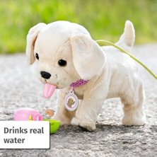 Zapf Creation, Baby Born Köpeğim Lucky, Baby Born