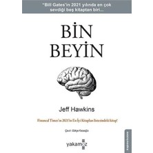 Bin Beyin