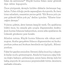 Sekizinci Günün Güneşi