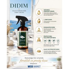 Wess Nehir Air Ortam Kokusu 500 ml Didim