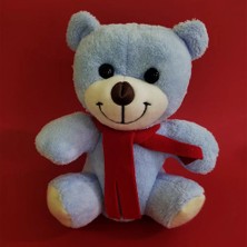 Aesco Mavi Peluş Ayı