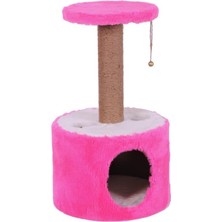 Mio Kedi Tırmalama, Roll, Pembe