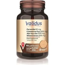 SHC4200 Validus Ceramide 60 + Löykotomos Fern 500 + Aloe Vera Gel 200 + Wheat Extract 200 60 Ca
