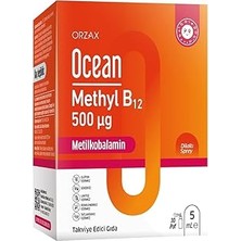 SHC4200 Methyl B12 Dilaltı Sprey 500MCG 5 ml