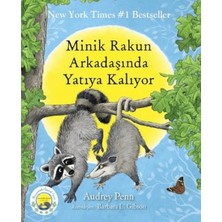Minik Rakun Arkadaşında Yatıya Kalıyor
