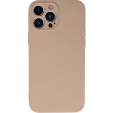 SHC4200 Pro Nano Içi Kadife - Pudra