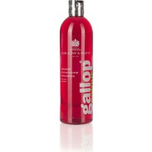 Carr & Day & Martin Gallop Colour Bay 500 ml - Doru Atlar Için Şampuan