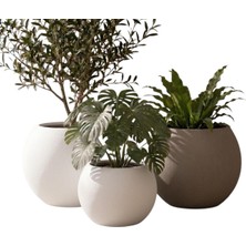 Zevli Japandi Tarzı Modern Küre Saksı 3'lü Set - Su Sızdırmaz Dekoratif Salon ve Balkon Saks�