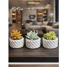 3'lü Mini Saksı Seti 5 cm – El Yapımı Dekoratif Beton Saksı / Küçük Sukulent Saksısı, Ma