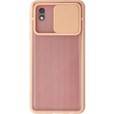 Aslanoğlu Store A01 Core Palm Buzlu Kamera Sürgülü - Pembe
