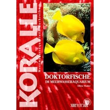 Dora Shopping Doktorfische: Im Meerwasseraquarium (Koralle)
