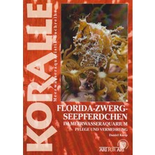 Dora Shopping Art Für Art 14. Florida-Zwergseepferdchen: Im Meerwasseraquarium