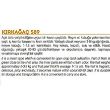 Dora Shopping Ata Tohumu Yerli Doğal Kavun KIRKAĞAÇ-589 Tip 100 Adet Tohum