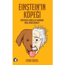Dora Shopping Einsteinın Köpeği Köpeğinize Görelilik Kuramını Nasıl Öğretirsiniz?