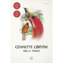 Dora Shopping Cennette Gibiyim