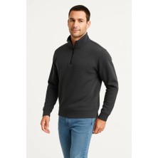 Mrayss  Erkek Dik Yaka Sweatshirt Dik Yaka Yarım Fermuarlı 3 Iplik Şardonlu Pamuk Kumaş - Antrasit