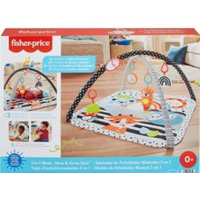 TeknoKapsül HBP41 Fisher-Price® Neşeli Hayvanlar 3ü1 Arada Jimnastik Merkezi
