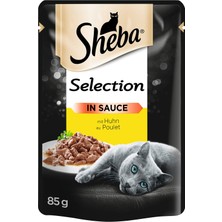 TeknoKapsül Sheba Yetişkin Tavuklu Yaş Mama 85 Gram