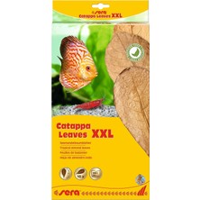TeknoKapsül Sera Catappa Yaprağı Xxl 32 cm