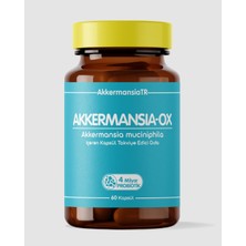 AkkermansiaTR Akkermansiam-Ox