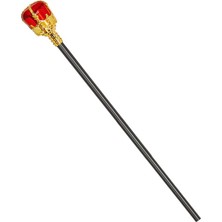 sbodurhome  Taşlı Altın Renk Prenses Tacı ve Kırmızı Kraliyet Prenses Asası