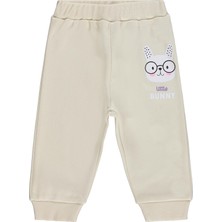 Civil Baby Little Bunny Baskılı 6-18 Ay Tek Alt Bebe - Fil Dişi