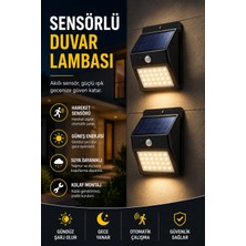 Eco Lounge Dp-53 Duvar Lambası