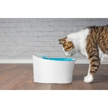Eco Lounge Otomatik Uyarılı Kedi Köpek Su Kabı