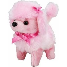 Eco Lounge Sevimli Köpek Poodle