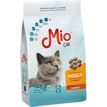Deri ve Tüy Sağlığı Destekli Yetişkin Somonlu ve Tavuklu Kedi Maması 1kg