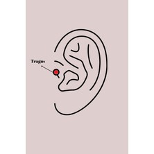 Berselya Underwear & Accessories 316L Çelik Gümüş Renk Mavi Zirkon Taşlı Tragus Piercing