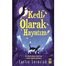 Genç Timaş Kedi Olarak Hayatım