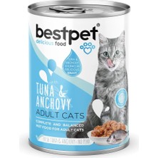 Astraltech Bestpet Yetişkin Kediler Için, Taze Ton Balıklı, Taze Hamsi Parça Etli ve Soslu Yaş Mama, 400 G x 1