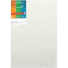 Astraltech Fanart Tuval Studi̇o 320 gr 20X20
